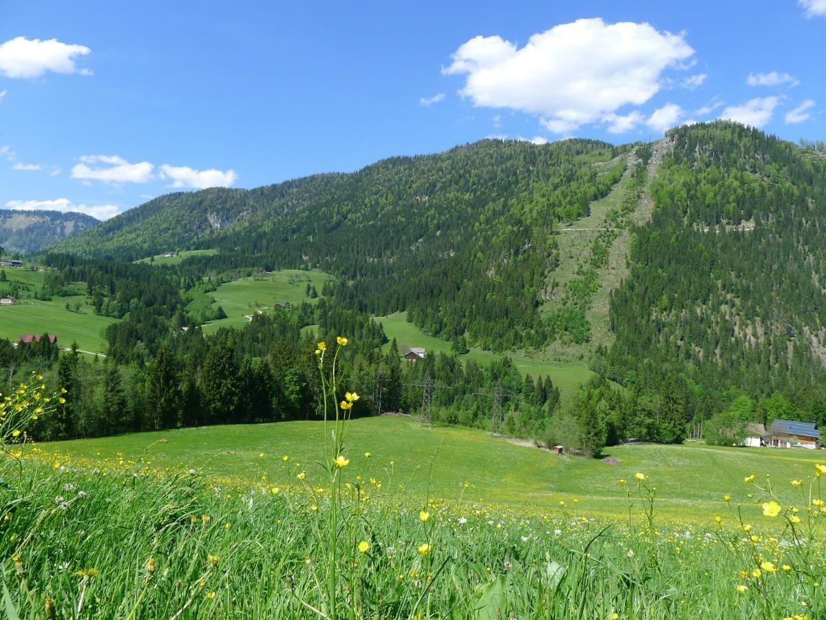 압티나우 Alpenhaus Dachstein.Zauber 아파트 외부 사진