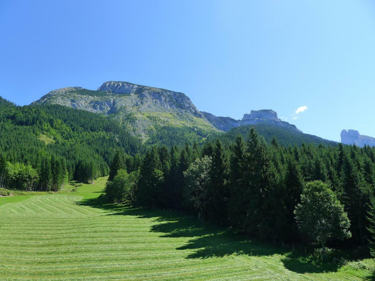 압티나우 Alpenhaus Dachstein.Zauber 아파트 외부 사진