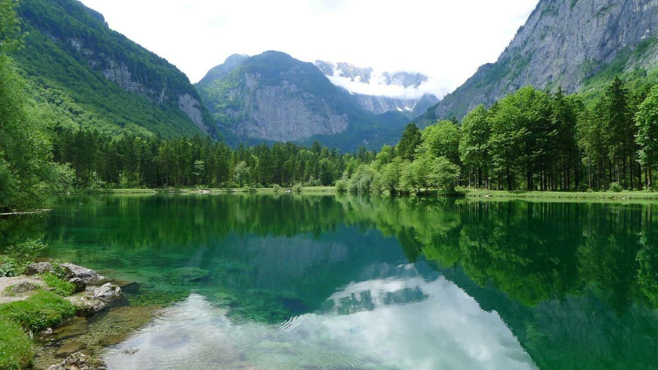 압티나우 Alpenhaus Dachstein.Zauber 아파트 외부 사진