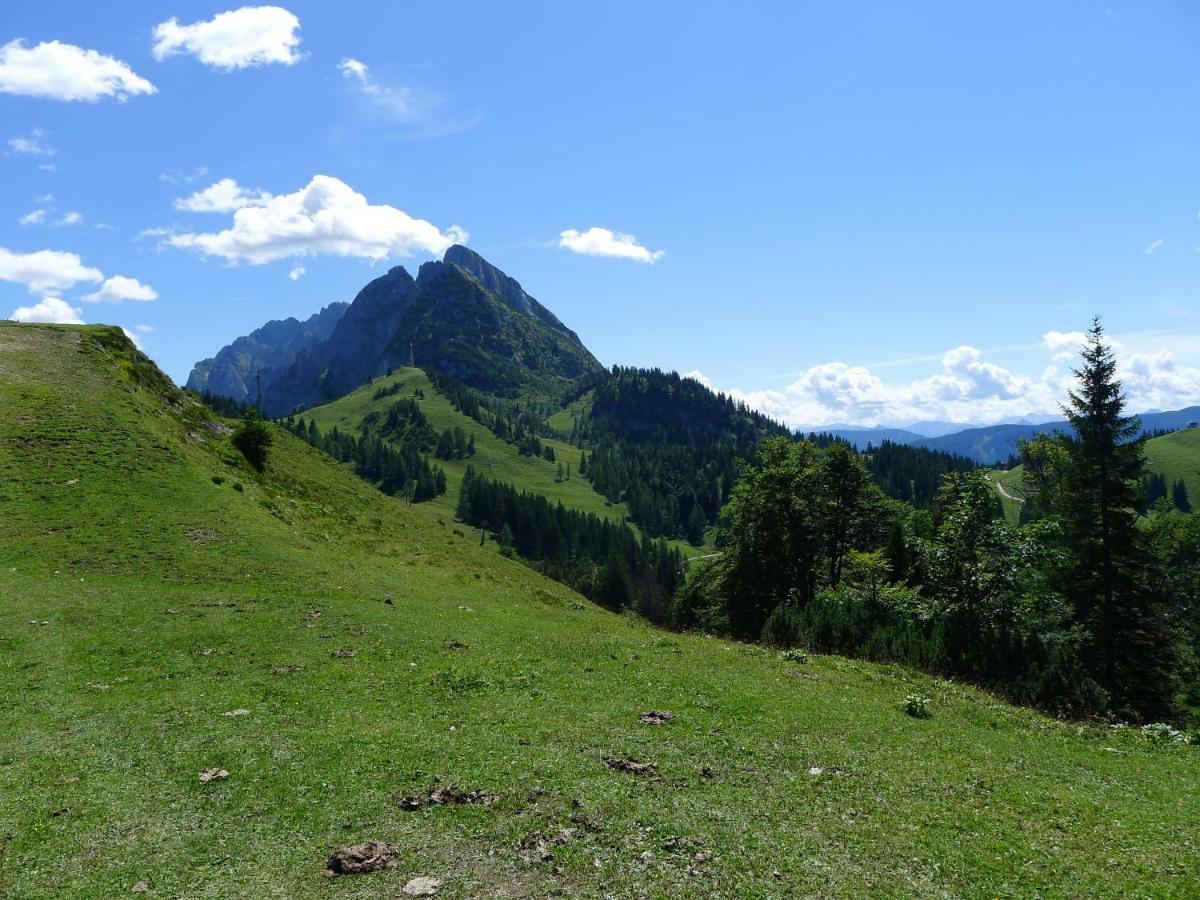 압티나우 Alpenhaus Dachstein.Zauber 아파트 외부 사진